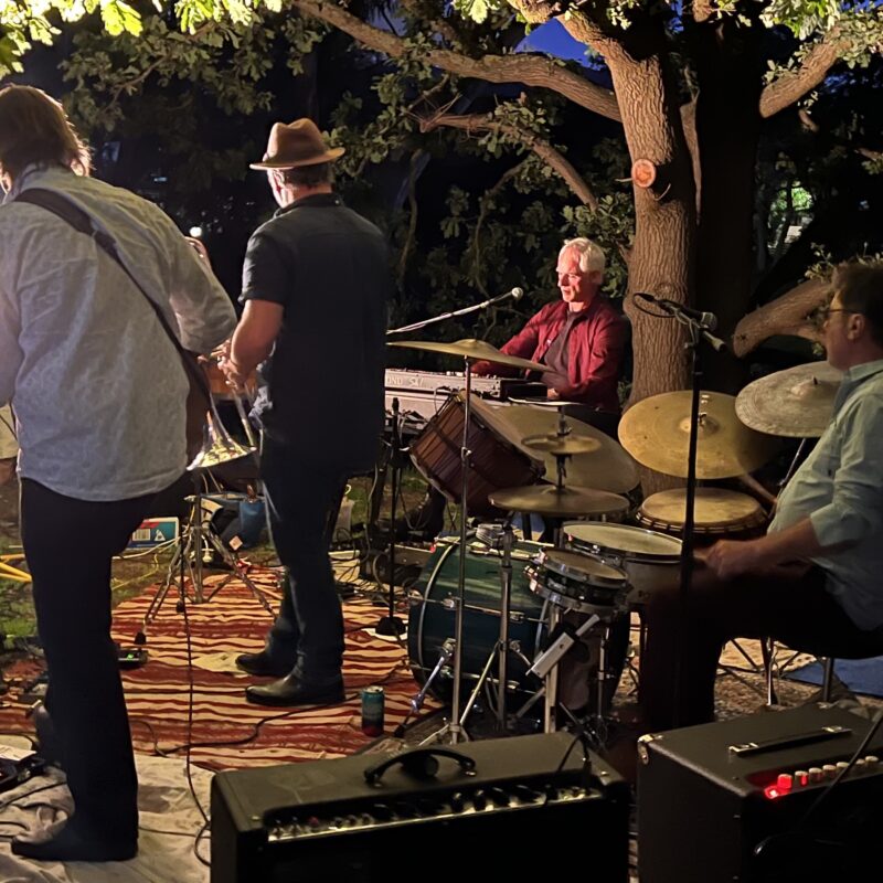 The Tonalists performing live on stage